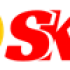 What Is SEO – Search Engine Optimization?